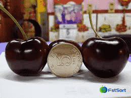 images/1736923740340Cereza española,.png